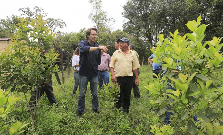Secretário do Meio Ambiente e Recursos Hídricos, Ricardo Soavinski, visita o Faxinal Taquari, em Rio Azul.Rio Azul, 08-10-15Foto: Arnaldo Alves / ANPr.