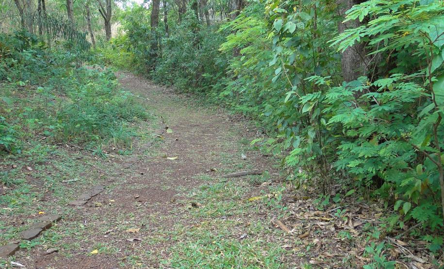 O Instituto Ambiental do Paraná (IAP) publicou nesta terça-feira (16) a portaria nº 232/2015, que cria um grupo para discutir e verificar a alteração, ou não, do mapeamento da zona de amortecimento do Parque Estadual Mata dos Godoy, em Londrina.Curitiba, 25/11/2015.Foto: Divulgação IAP