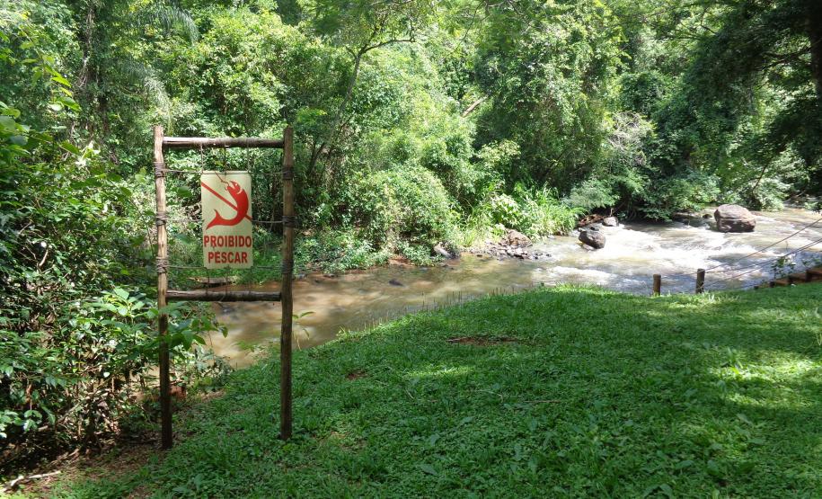 Parque Ibicatu.Foto: Raquel Filas