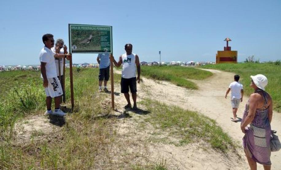 Iap restinga litoral