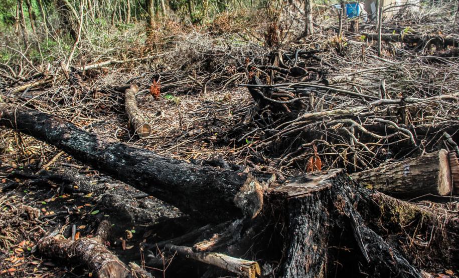 O Batalhão de Polícia Militar Ambiental e o Instituto Ambiental do Paraná (IAP) fizeram na manhã deste sábado (06/02) uma fiscalização em uma região de invasão e desmatamento localizada no Parque Estadual Rio da Onça, em Matinhos (PR) no Litoral do Estado