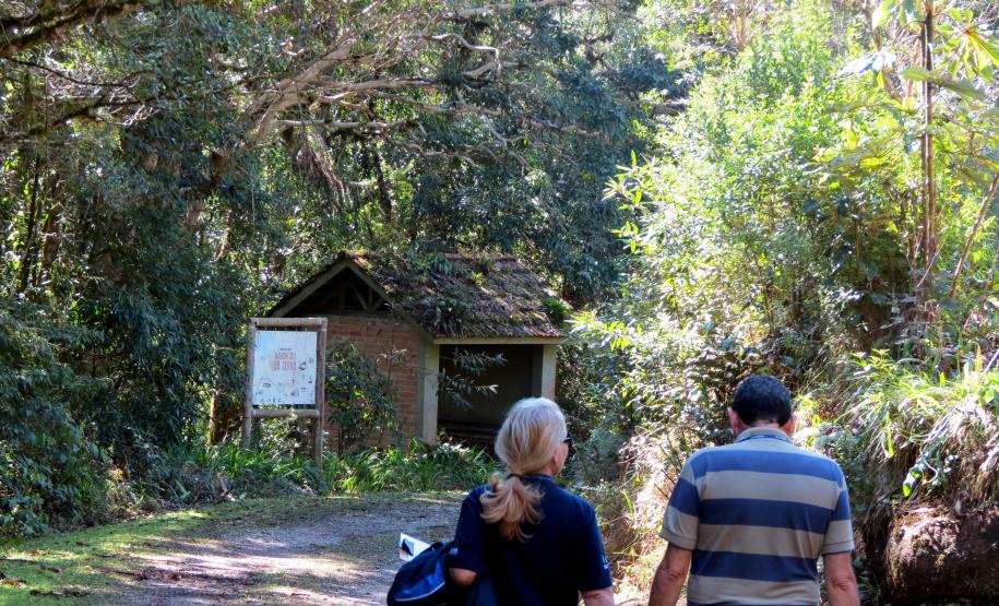 Mananciais da Serra: opção para passeios, trilhas e caminhadas neste fim de semana.Foto: Arquivo Sanepar