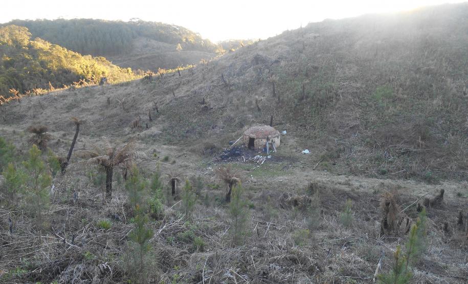 Fiscais do Instituto Ambiental do Paraná (IAP) fizeram uma força-tarefa para verificar o desmatamento ilegal na regiões Central e Sul do Estado, entre 8 e 26 de agosto. A operação resultou em 20 autos de infração lavrados, que somam R$ 293 mil em multas. Também foram embargados 59,89 hectares de área desmatada sem as devidas autorizações legais.Foto: Divulgação IAP