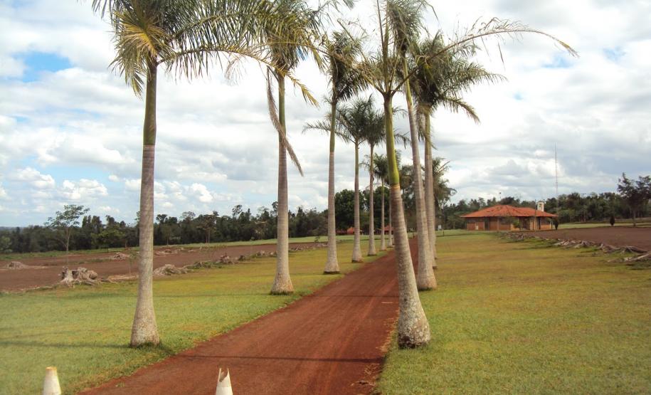 IAP estabelece a criação do Conselho Consultivo do Parque Estadual Mata São Francisco, entre Cornélio Procópio e Santa Mariana.Foto: Divulgação IAP
