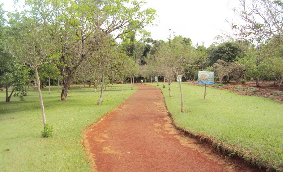 IAP estabelece a criação do Conselho Consultivo do Parque Estadual Mata São Francisco, entre Cornélio Procópio e Santa Mariana.Foto: Divulgação IAP