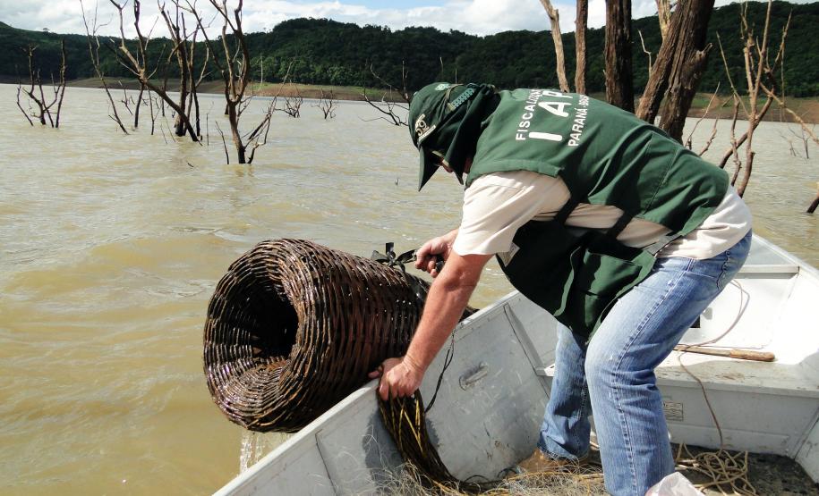 A pesca de espécies nativas estará proibida a partir desta terça-feira (01) em todos os rios do Paraná devido à piracema, época em que a maioria das espécies se reproduz. Até o dia 28 de fevereiro de 2017, espécies como dourado, lambari, bagre, jaú e pintado, entre outras, estarão protegidas, de acordo com instrução do Ibama (nº 25/2009), e reforçada no Estado por portaria do IAP (nº 206/2016).Foto: IAP/Arquivo ANPr