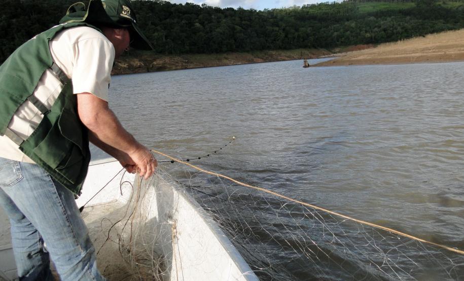 A pesca de espécies nativas estará proibida a partir desta terça-feira (01) em todos os rios do Paraná devido à piracema, época em que a maioria das espécies se reproduz. Até o dia 28 de fevereiro de 2017, espécies como dourado, lambari, bagre, jaú e pintado, entre outras, estarão protegidas, de acordo com instrução do Ibama (nº 25/2009), e reforçada no Estado por portaria do IAP (nº 206/2016).Foto: IAP/Arquivo ANPr