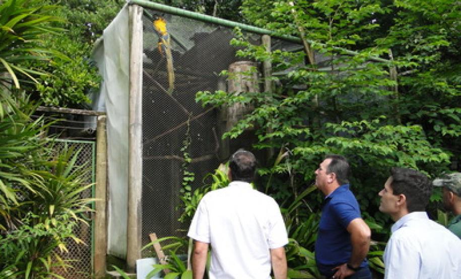 O Parque Ecológico mantido pela Klabin (PEK) na Fazenda Monte Alegre, em Telêmaco Borba, recebeu do Instituto Ambiental do Paraná (IAP) a Licença Ambiental de Operação. O documento permite a ampliação das atividades do Parque, que passa a funcionar também como um Centro de Reabilitação de Animais Silvestres (CRAS).Foto: Divulgação IAP