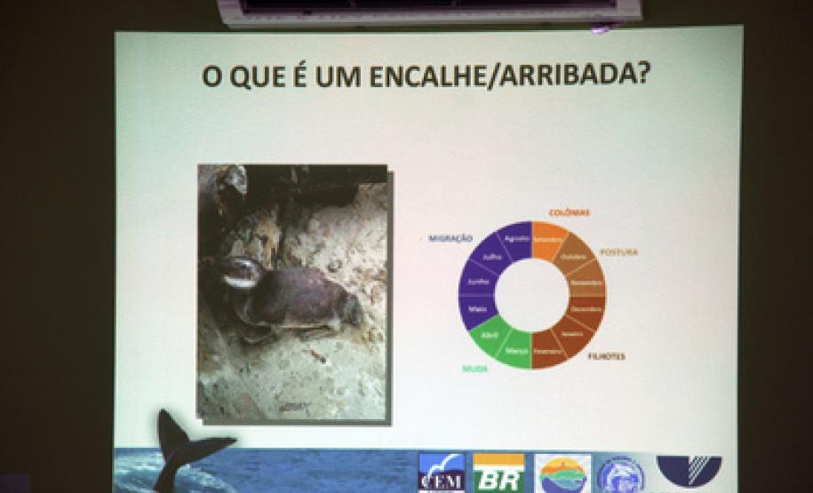 Reunião no Parque Estadual Rio da Onça, em Matinhos, sobre atuação conjunta entre o IAP, Secretaria do Meio Ambiente, Corpo de Bombeiros, Polícia ambiental, municípios do Litoral e o Centro de estudos do Mar (CEM), da Universidade Federal do Paraná (UFPR), sobre resgate de animais marinhos nas praias do Estado.Matinhos, 01/02/2017.Foto: Soldado Augusto/PMPR