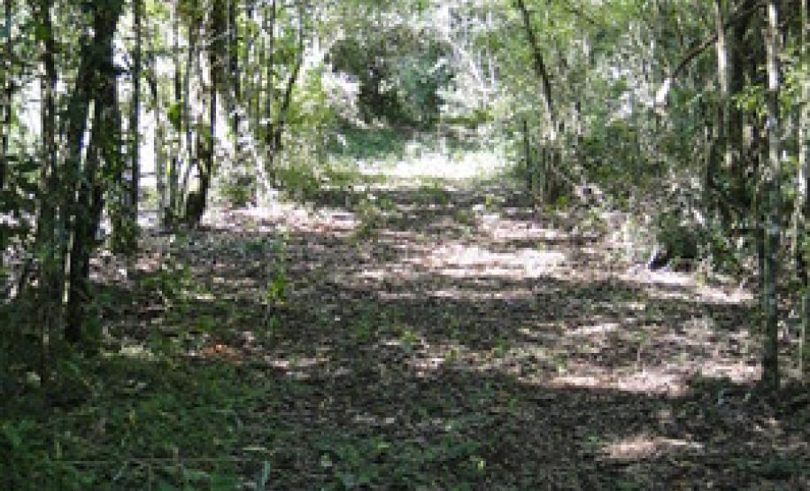 Parceria entre o Governo do Estado, por meio do Instituto Ambiental do Paraná (IAP), a Estação Ecológica de Palmital, município da região Central do Paraná, mudou a relação da população local com o meio ambiente. Palmital, 15/03/2017.Foto: Divulgação IAP