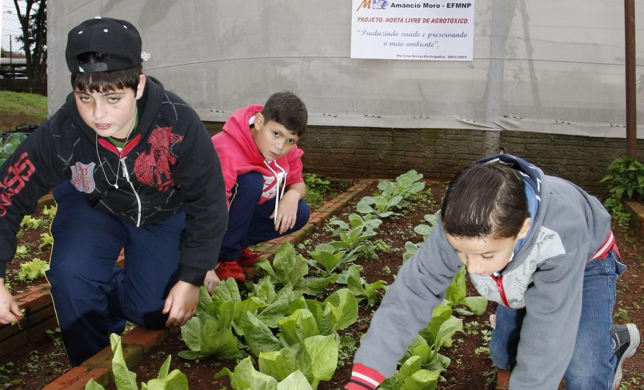 A preocupação com a preservação ambiental, combate ao desperdício, pesquisas de fontes alternativas de energia e a promoção de hábitos alimentares saudáveis estão entre os temas trabalhados nas escolas estaduais, por meio de projetos educacionais voltados à sustentabilidade.Foto: Hedeson Alves/Arquivo SEED