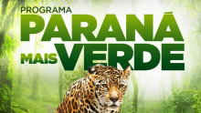 Programa Paraná Mais Verde