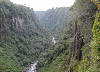 Salto São João