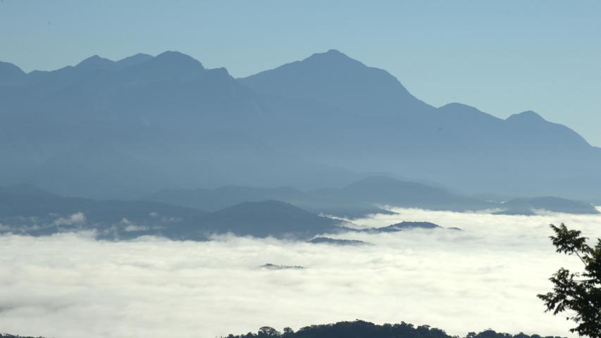 Edição 2026 do Selo Clima Paraná alcançou 382 participantes, 22% a mais do que no ano passado