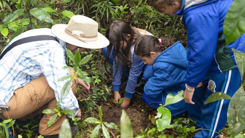 Dia do Educador Ambiental: Cidadão Sustentável leva formação a 119 municípios do Paraná