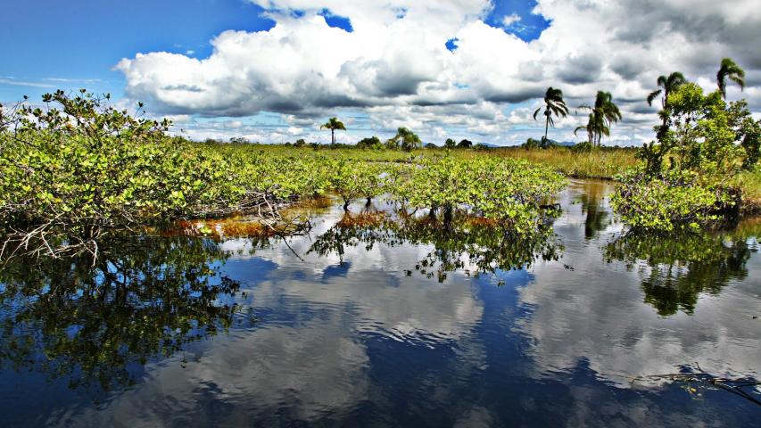 CBHs Litorânea, Rio Tibagi e Baixo Iguaçu debatem a gestão da água no Paraná